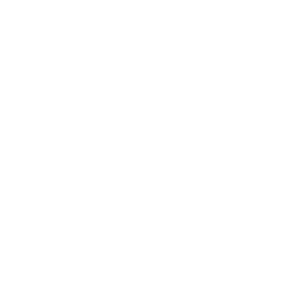 Elite level service promised